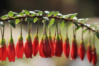 肇庆端州区8私人快速借钱网，轻松解决资金难题