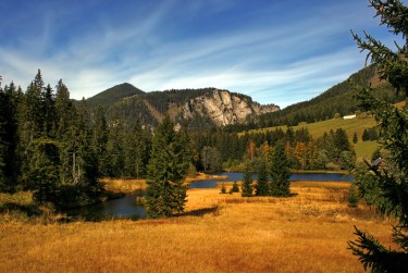 肇庆端州区8民间私贷攻略：揭秘低成本借贷的秘密