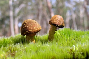 肇庆端州区8私人老板放款：轻松融资的秘密通道